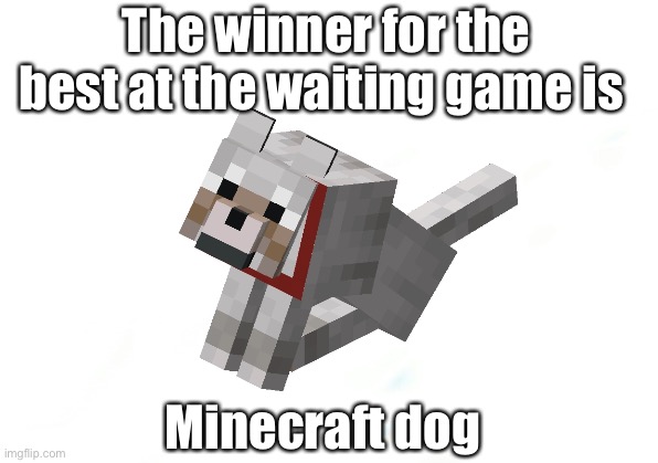 #12 minecraft dog | The winner for the best at the waiting game is; Minecraft dog | image tagged in minecraft memes | made w/ Imgflip meme maker