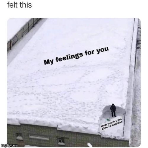 dawww | image tagged in my feelings for you,feelings,relationships,relationship,wholesome,repost | made w/ Imgflip meme maker