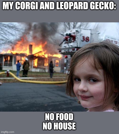 Disaster Girl Meme | MY CORGI AND LEOPARD GECKO: NO FOOD
NO HOUSE | image tagged in memes,disaster girl | made w/ Imgflip meme maker