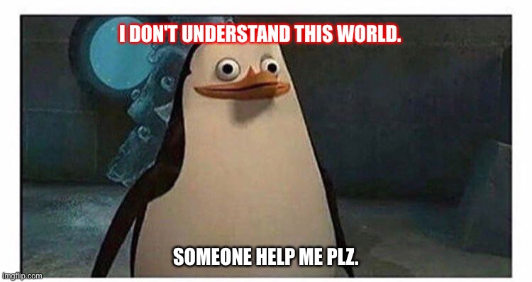 Someone help me understand this world. | I DON'T UNDERSTAND THIS WORLD. SOMEONE HELP ME PLZ. | image tagged in stupid pinguin | made w/ Imgflip meme maker