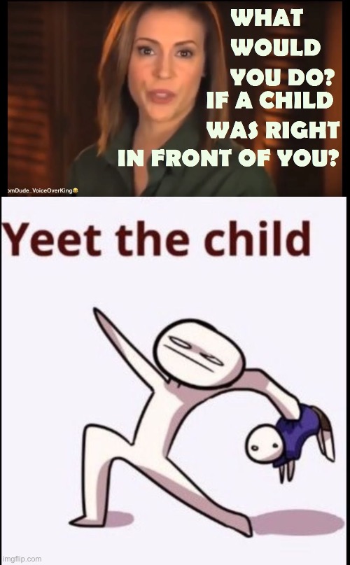 I had to do it | image tagged in yeet the child | made w/ Imgflip meme maker