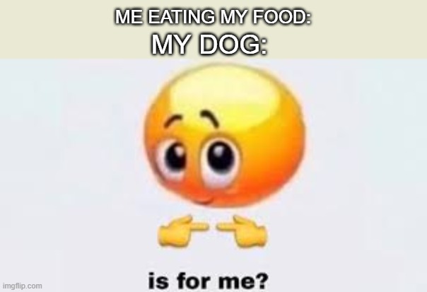is for me meme | MY DOG:; ME EATING MY FOOD: | image tagged in is for me | made w/ Imgflip meme maker