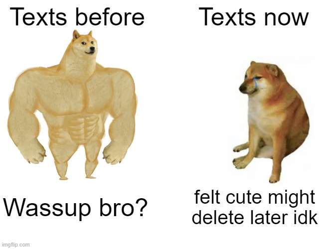 People this days on the internet: this meem IYO to decide if it's good idk might delete later idk idk idk | Texts before; Texts now; Wassup bro? felt cute might delete later idk | image tagged in memes,buff doge vs cheems,funny memes,doge,imgflip meme,idk | made w/ Imgflip meme maker