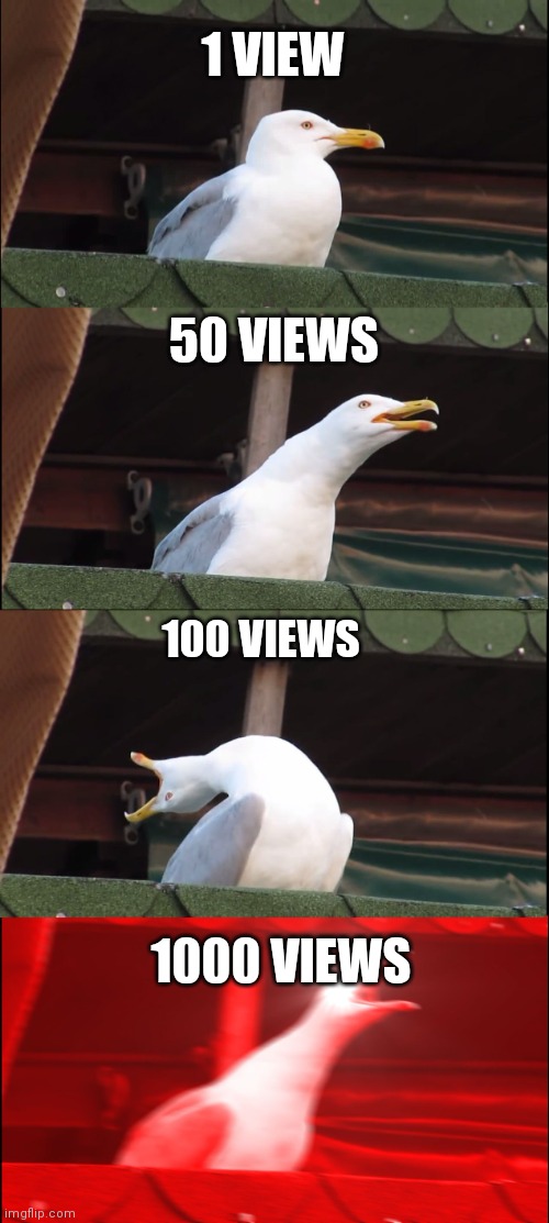 When I get views | 1 VIEW; 50 VIEWS; 100 VIEWS; 1000 VIEWS | image tagged in memes,inhaling seagull,views,1000 views - pls | made w/ Imgflip meme maker