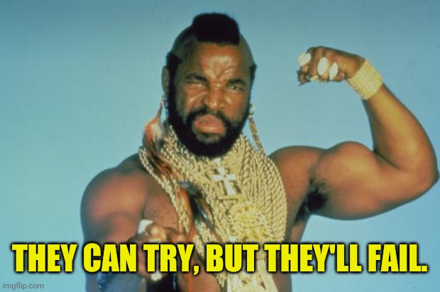 MR.T | THEY CAN TRY, BUT THEY'LL FAIL. | image tagged in mr t | made w/ Imgflip meme maker