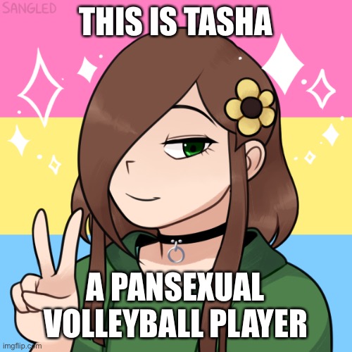 THIS IS TASHA; A PANSEXUAL VOLLEYBALL PLAYER | image tagged in pansexual,lgbtq,all life is precious | made w/ Imgflip meme maker