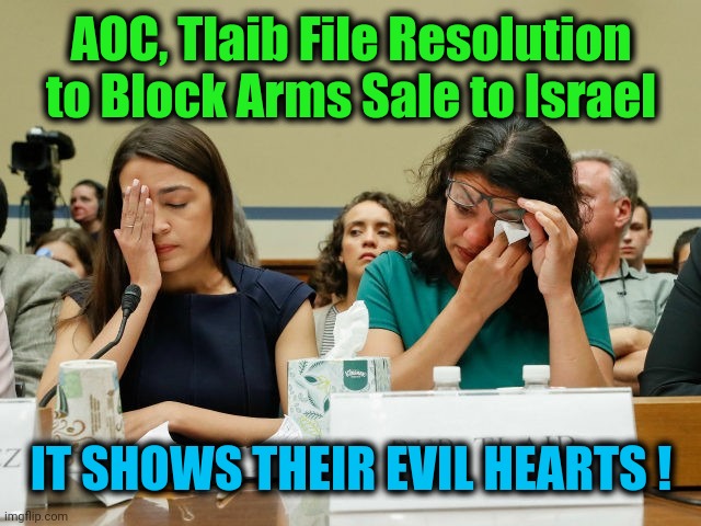 With Israel Under Rocket Barrage, They Want to Pull the Rug.... | AOC, Tlaib File Resolution to Block Arms Sale to Israel; IT SHOWS THEIR EVIL HEARTS ! | image tagged in political meme,democratic socialism,israel | made w/ Imgflip meme maker
