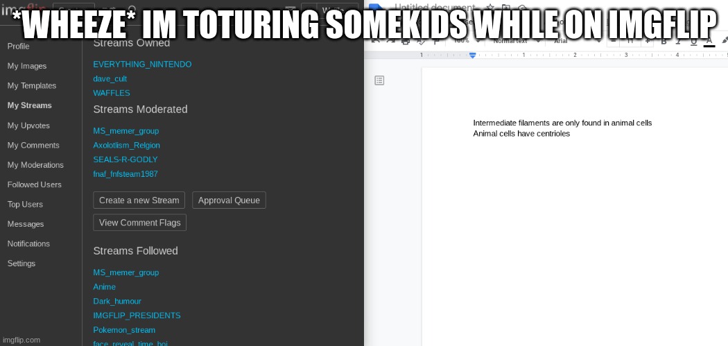*WHEEZE* IM TOTURING SOMEKIDS WHILE ON IMGFLIP | made w/ Imgflip meme maker