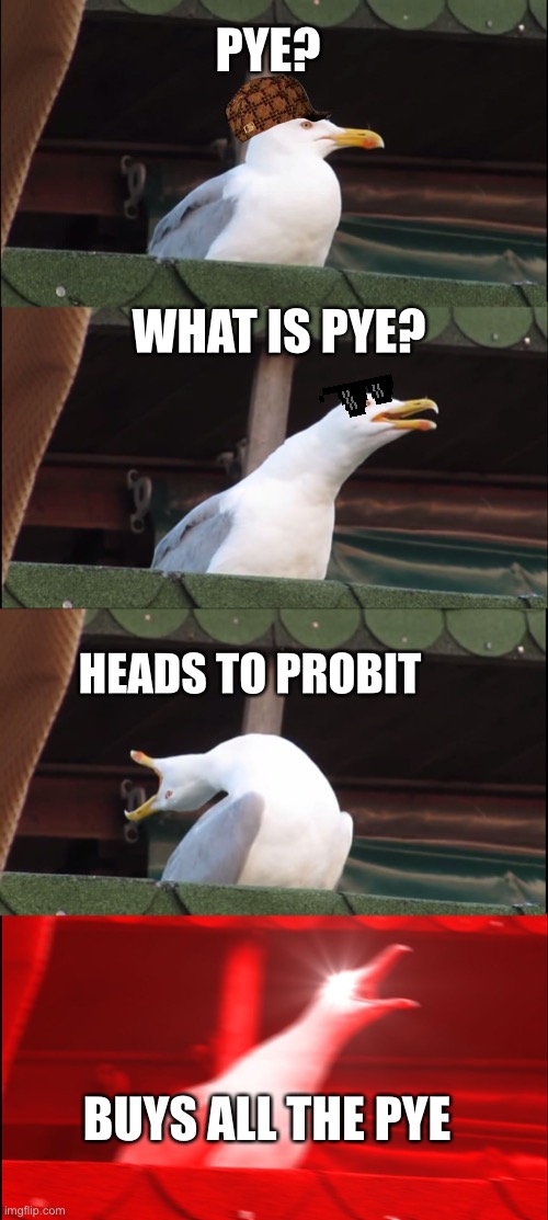 Inhaling Seagull Meme | PYE? WHAT IS PYE? HEADS TO PROBIT; BUYS ALL THE PYE | image tagged in memes,inhaling seagull,CreamPYE | made w/ Imgflip meme maker