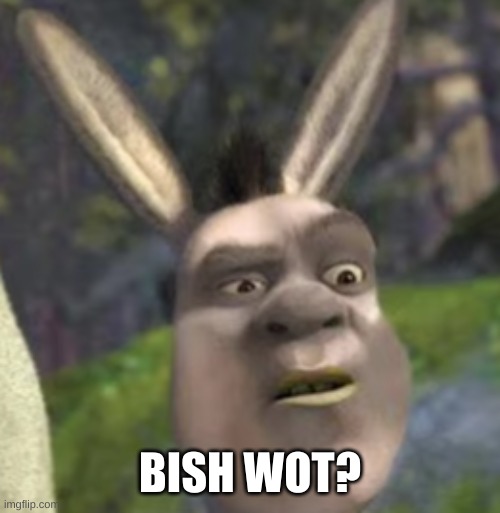 Shronkey | BISH WOT? | image tagged in shronkey | made w/ Imgflip meme maker