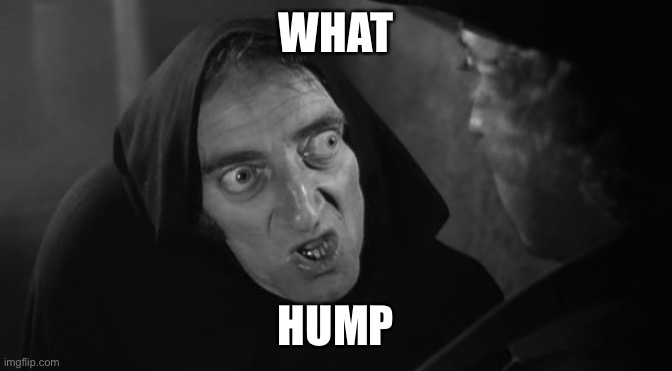 Igor | WHAT; HUMP | image tagged in marty feldman igor 2 | made w/ Imgflip meme maker