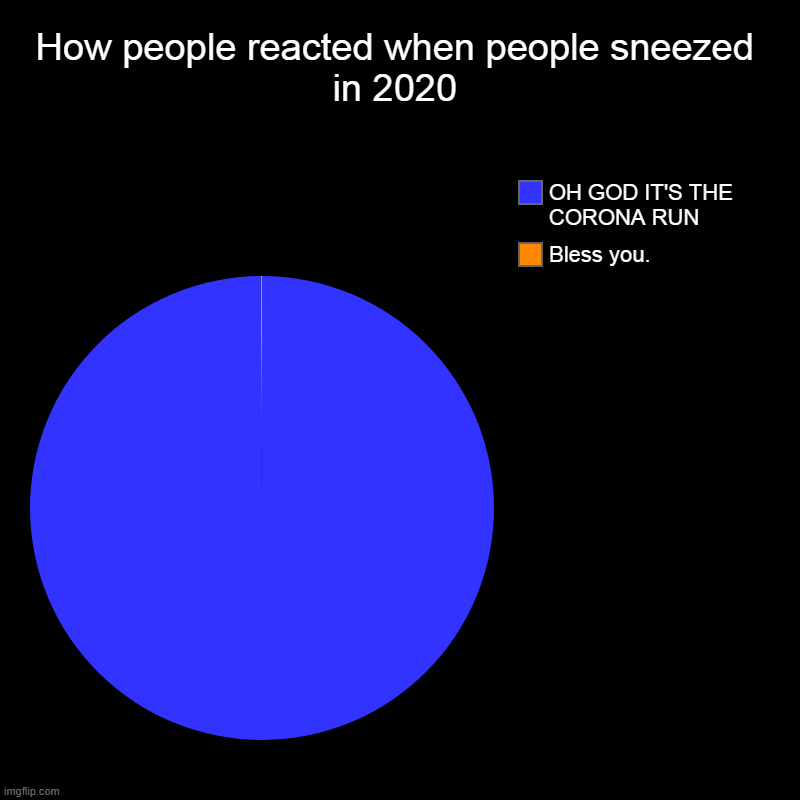 How people reacted when people sneezed in 2020 | Bless you., OH GOD IT'S THE CORONA RUN | image tagged in charts,pie charts | made w/ Imgflip chart maker