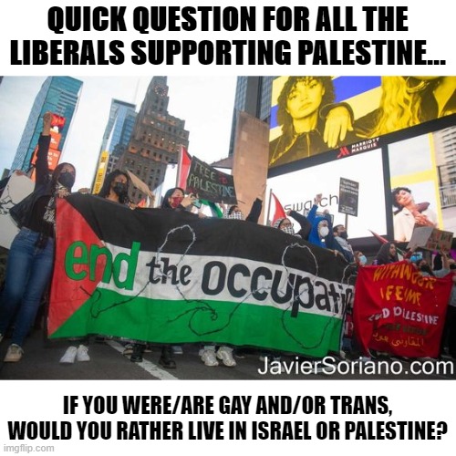 Would you rather... | QUICK QUESTION FOR ALL THE LIBERALS SUPPORTING PALESTINE... IF YOU WERE/ARE GAY AND/OR TRANS, WOULD YOU RATHER LIVE IN ISRAEL OR PALESTINE? | image tagged in palestine,lgbtq | made w/ Imgflip meme maker