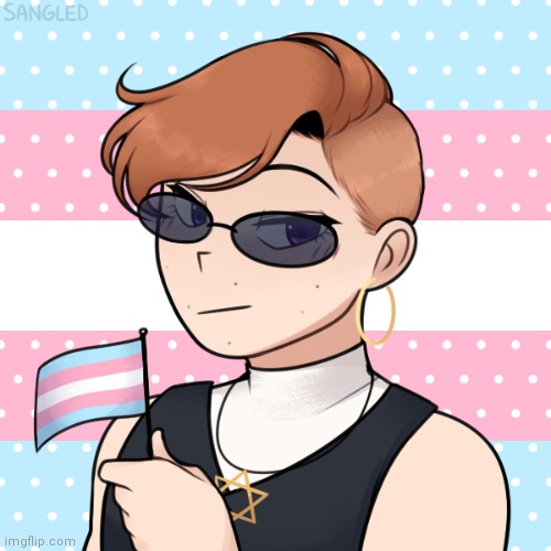 Who likes this trans human named Ari | made w/ Imgflip meme maker