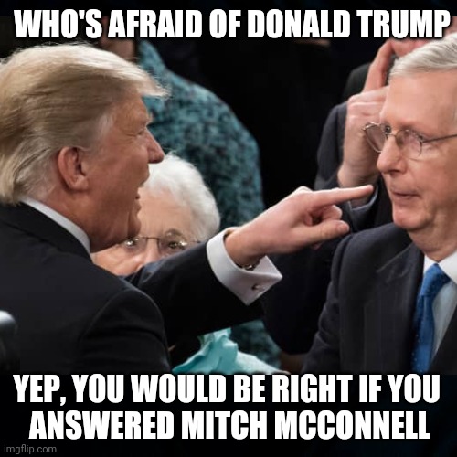 Who's Afraid of Donald Trump ? | WHO'S AFRAID OF DONALD TRUMP; YEP, YOU WOULD BE RIGHT IF YOU 
ANSWERED MITCH MCCONNELL | image tagged in mitch mcconnell memes,donald trump memes,trump's puppet | made w/ Imgflip meme maker