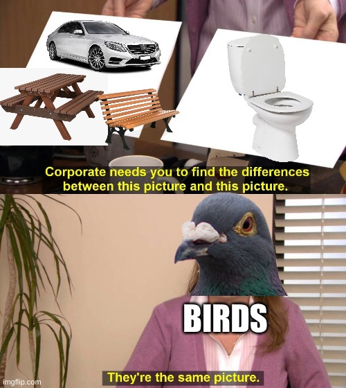 bird poops everywhere | BIRDS | image tagged in they are the same picture,birds,poop,toilet,car,bench | made w/ Imgflip meme maker