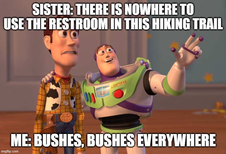 X, X Everywhere | SISTER: THERE IS NOWHERE TO USE THE RESTROOM IN THIS HIKING TRAIL; ME: BUSHES, BUSHES EVERYWHERE | image tagged in memes,x x everywhere | made w/ Imgflip meme maker