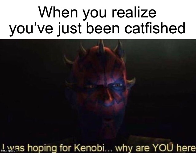 When you realize you’ve just been catfished | image tagged in blank white template,i was hoping for kenobi,catfish,blind date,star wars,star wars rebels | made w/ Imgflip meme maker