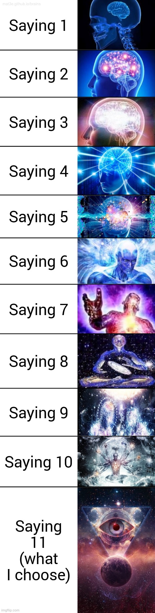 11-Tier Expanding Brain | Saying 1 Saying 2 Saying 3 Saying 4 Saying 5 Saying 6 Saying 7 Saying 8 Saying 9 Saying 10 Saying 11 (what I choose) | image tagged in 11-tier expanding brain | made w/ Imgflip meme maker
