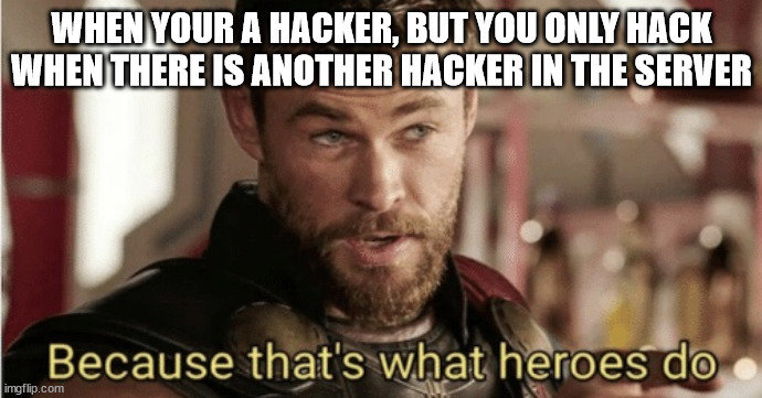 hahaha | WHEN YOUR A HACKER, BUT YOU ONLY HACK WHEN THERE IS ANOTHER HACKER IN THE SERVER | image tagged in thats what heroes do | made w/ Imgflip meme maker