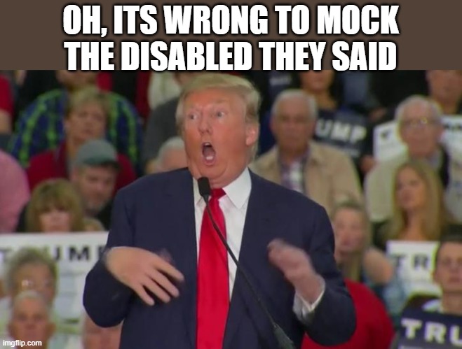 Donald Trump Mocking Disabled | OH, ITS WRONG TO MOCK THE DISABLED THEY SAID | image tagged in donald trump mocking disabled | made w/ Imgflip meme maker