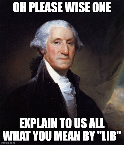 George Washington Meme | OH PLEASE WISE ONE EXPLAIN TO US ALL WHAT YOU MEAN BY "LIB" | image tagged in memes,george washington | made w/ Imgflip meme maker