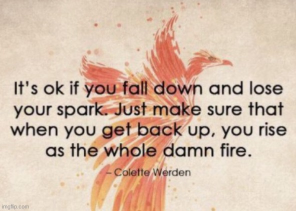 The Phoenix |  it's ok if you fall down and lose you spark. Just Make sure that when you get back up, you rise as the whole damn fire. | image tagged in phoenix,inspirational quote,quotes | made w/ Imgflip meme maker