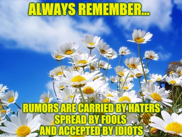 The Real Truth About Rumors |  ALWAYS REMEMBER... RUMORS ARE CARRIED BY HATERS
SPREAD BY FOOLS 
AND ACCEPTED BY IDIOTS | image tagged in spring daisy flowers,inspirational quote,quotes | made w/ Imgflip meme maker