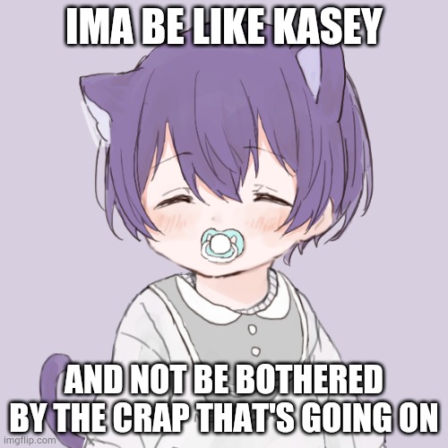 Sleeping Kasey | IMA BE LIKE KASEY; AND NOT BE BOTHERED BY THE CRAP THAT'S GOING ON | image tagged in sleeping kasey | made w/ Imgflip meme maker