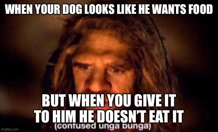 Dog Food | WHEN YOUR DOG LOOKS LIKE HE WANTS FOOD; BUT WHEN YOU GIVE IT TO HIM HE DOESN’T EAT IT | image tagged in confused unga bunga,funny memes,memes | made w/ Imgflip meme maker