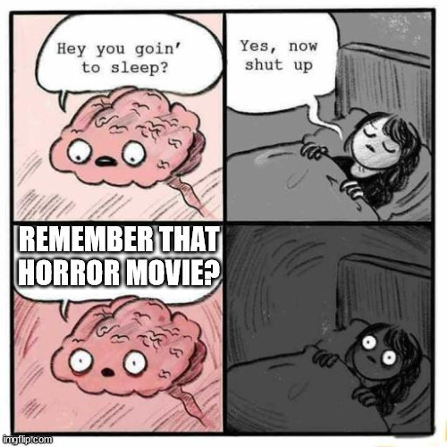 WHYYYYYYYYYYY | REMEMBER THAT HORROR MOVIE? | image tagged in hey you going to sleep | made w/ Imgflip meme maker