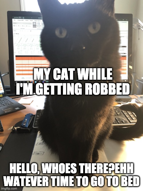 MY CAT WHILE I'M GETTING ROBBED; HELLO, WHOES THERE?EHH WATEVER TIME TO GO TO BED | made w/ Imgflip meme maker