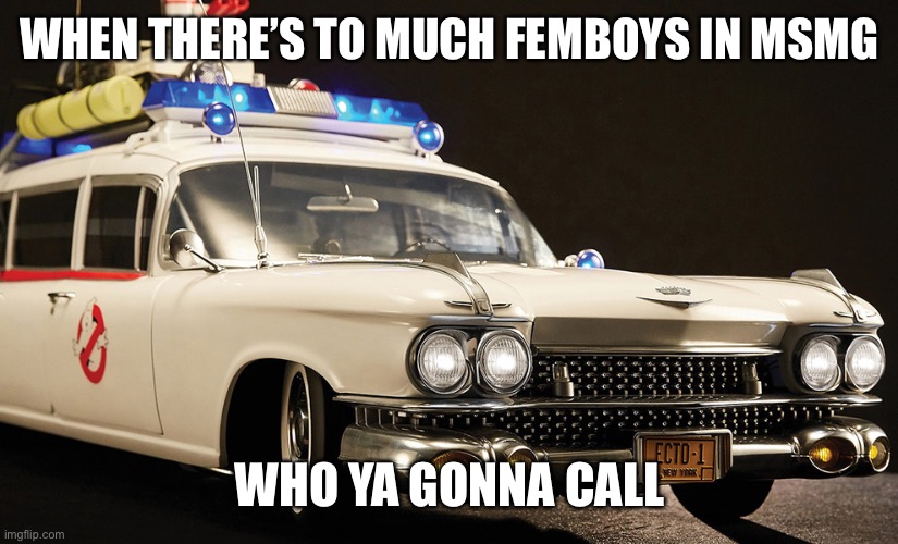 Ecto | WHEN THERE’S TO MUCH FEMBOYS IN MSMG; WHO YA GONNA CALL | image tagged in ecto | made w/ Imgflip meme maker