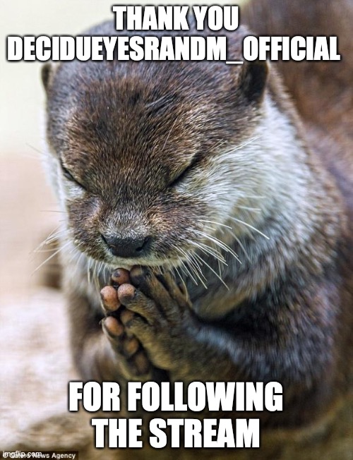 Thank you Lord Otter | THANK YOU DECIDUEYESRANDM_OFFICIAL; FOR FOLLOWING THE STREAM | image tagged in thank you lord otter | made w/ Imgflip meme maker