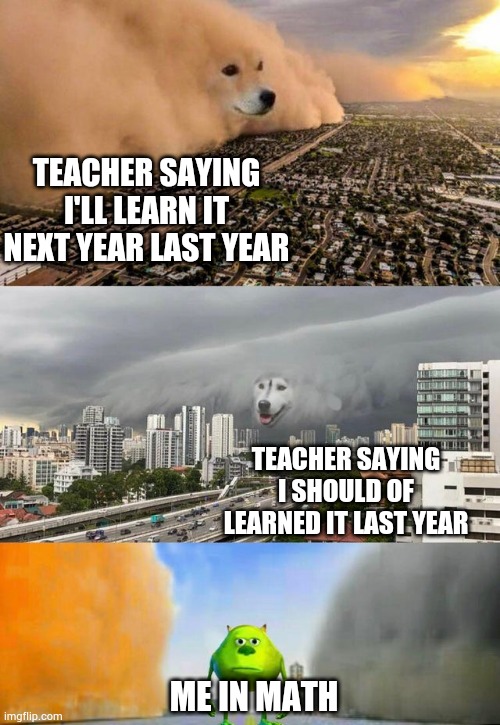 Dust doge storms and Mikey caught in the middle | TEACHER SAYING I'LL LEARN IT NEXT YEAR LAST YEAR; TEACHER SAYING I SHOULD OF LEARNED IT LAST YEAR; ME IN MATH | image tagged in dust doge storms and mikey caught in the middle | made w/ Imgflip meme maker