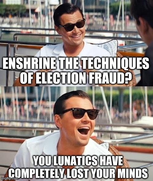 Leonardo Dicaprio Wolf Of Wall Street Meme | ENSHRINE THE TECHNIQUES OF ELECTION FRAUD? YOU LUNATICS HAVE COMPLETELY LOST YOUR MINDS | image tagged in memes,leonardo dicaprio wolf of wall street | made w/ Imgflip meme maker