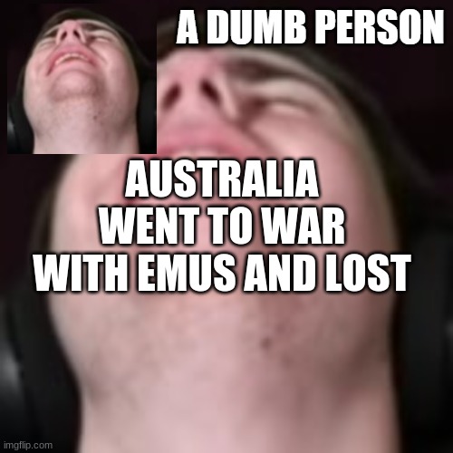 E | AUSTRALIA WENT TO WAR WITH EMUS AND LOST | image tagged in e | made w/ Imgflip meme maker