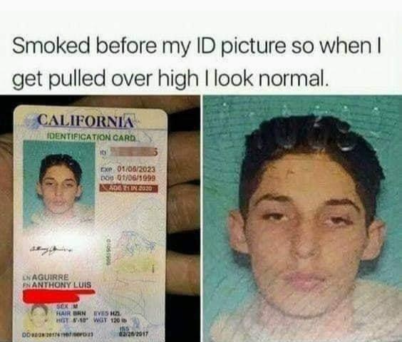 High Quality Drivers license smoked Blank Meme Template