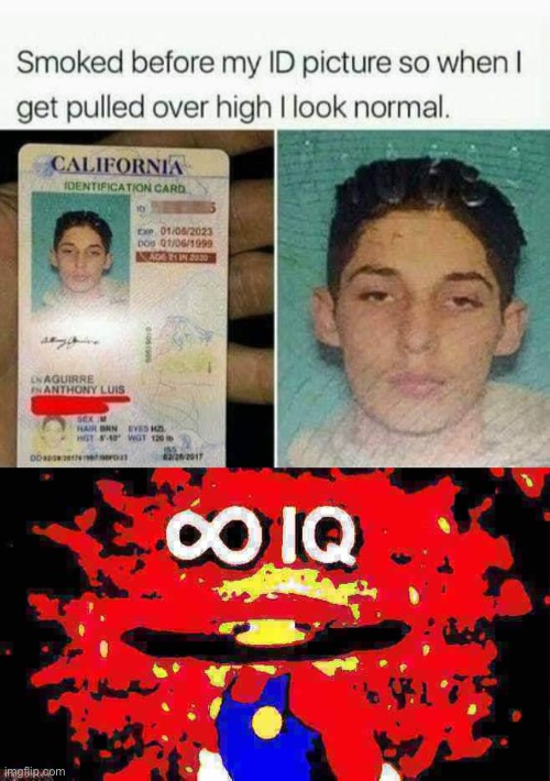 bruh | image tagged in drivers license smoked,infinite iq deep-fried 3,too damn high,high,drivers,license | made w/ Imgflip meme maker