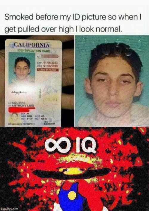 image tagged in drivers license smoked,infinite iq deep-fried 2 | made w/ Imgflip meme maker