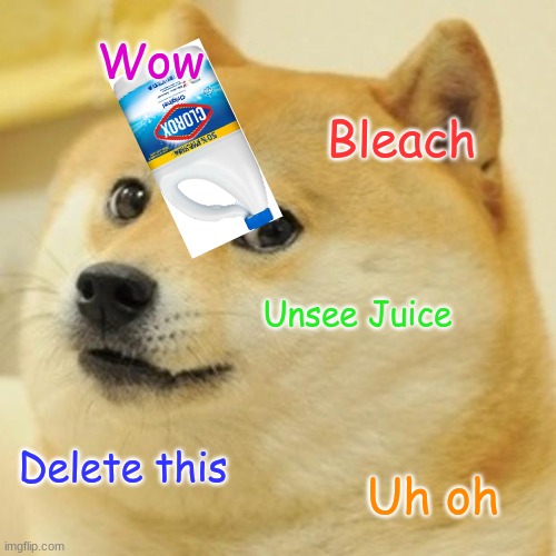Doge Meme | Wow Bleach Unsee Juice Delete this Uh oh | image tagged in memes,doge | made w/ Imgflip meme maker