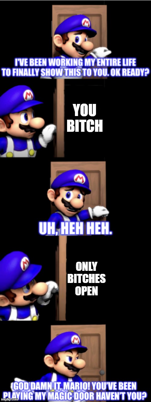 Bitch | YOU BITCH; ONLY BITCHES OPEN | image tagged in smg4 door extended | made w/ Imgflip meme maker