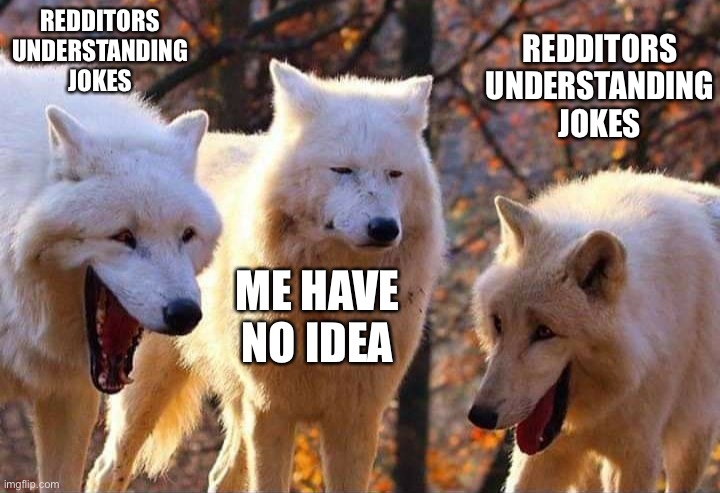 always happens | REDDITORS UNDERSTANDING JOKES; REDDITORS UNDERSTANDING JOKES; ME HAVE NO IDEA | image tagged in laughing wolf | made w/ Imgflip meme maker