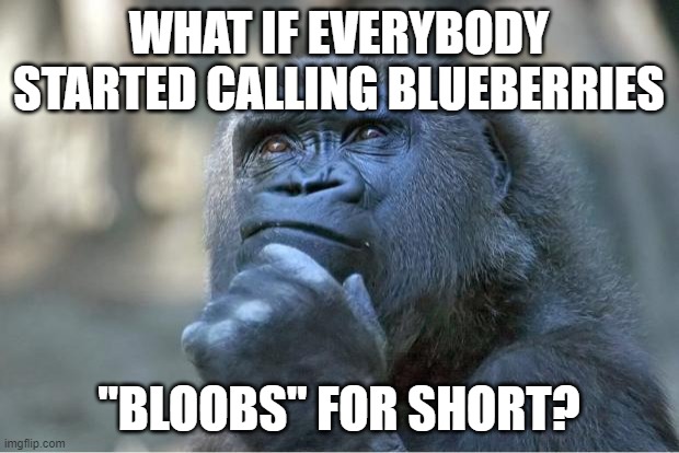 Bloobs | WHAT IF EVERYBODY STARTED CALLING BLUEBERRIES; "BLOOBS" FOR SHORT? | image tagged in the thinking gorilla,deep thoughts,words | made w/ Imgflip meme maker