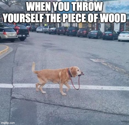 WHEN YOU THROW YOURSELF THE PIECE OF WOOD | made w/ Imgflip meme maker