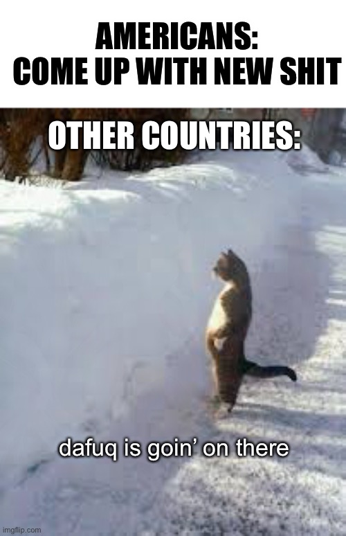 AMERICANS:
COME UP WITH NEW SHIT OTHER COUNTRIES: dafuq is goin’ on there | image tagged in cat looking over snow | made w/ Imgflip meme maker