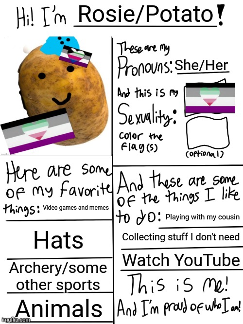 The names Rosie and wild are used irl ._. (update) | Rosie/Potato; She/Her; Video games and memes; Playing with my cousin; Hats; Collecting stuff I don't need; Watch YouTube; Archery/some other sports; Animals | image tagged in lgbtq stream account profile | made w/ Imgflip meme maker