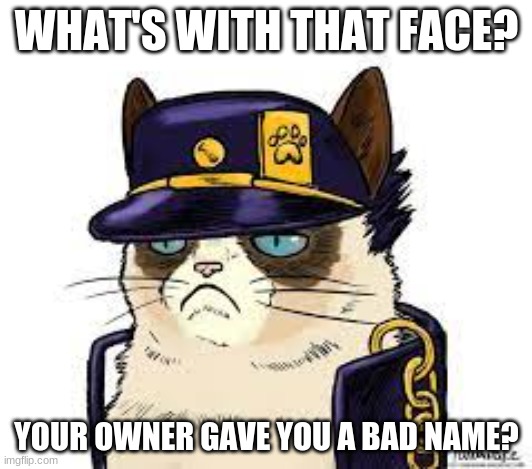 Jotaro Kujo | WHAT'S WITH THAT FACE? YOUR OWNER GAVE YOU A BAD NAME? | image tagged in jotaro kujo,anime,grumpy cat | made w/ Imgflip meme maker