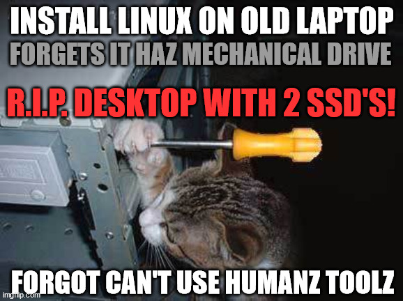 Linux on mechanical drive | INSTALL LINUX ON OLD LAPTOP; FORGETS IT HAZ MECHANICAL DRIVE; R.I.P. DESKTOP WITH 2 SSD'S! FORGOT CAN'T USE HUMANZ TOOLZ | image tagged in helper cat,linux,hard drive,ssd,cat,pc | made w/ Imgflip meme maker