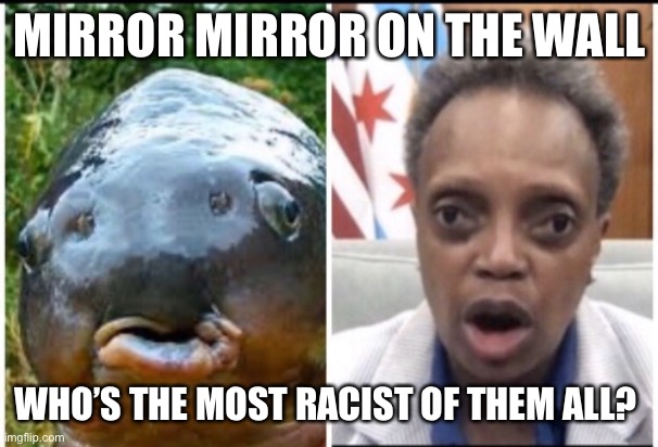 Imagine Catching this while Noodling | MIRROR MIRROR ON THE WALL; WHO’S THE MOST RACIST OF THEM ALL? | image tagged in memes,racist,catfish,gone fishing,you are fake news,2spooky4me | made w/ Imgflip meme maker